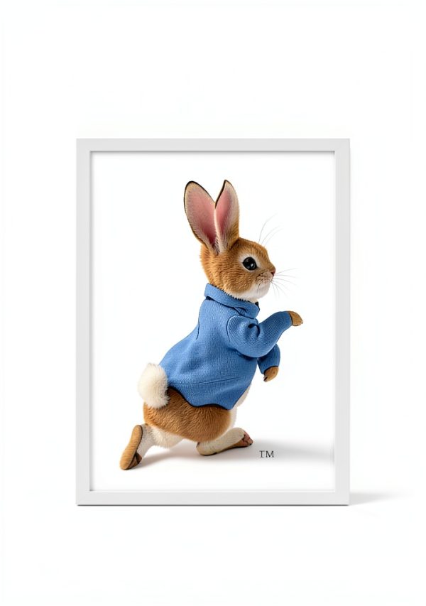 Beatrix Potter Peter Rabbit Kindle Book – New Edition for Preschool-0