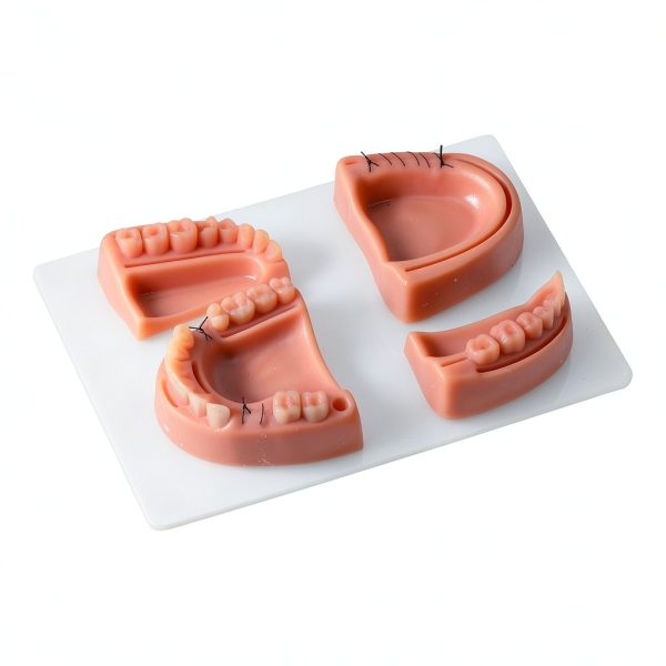 Dental Suture Practice Kit by Kits of Medicine – 4 Pads & 6 Tools-4
